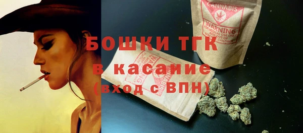 ГАЛЛЮЦИНОГЕННЫЕ ГРИБЫ Осинники