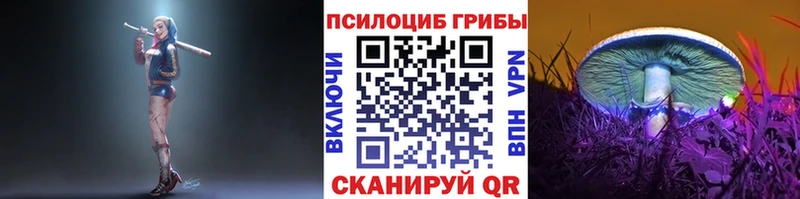 OMG ТОР  Анива  Галлюциногенные грибы Magic Shrooms 